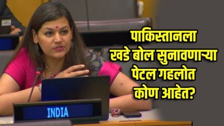 Who is Petel Gehlot