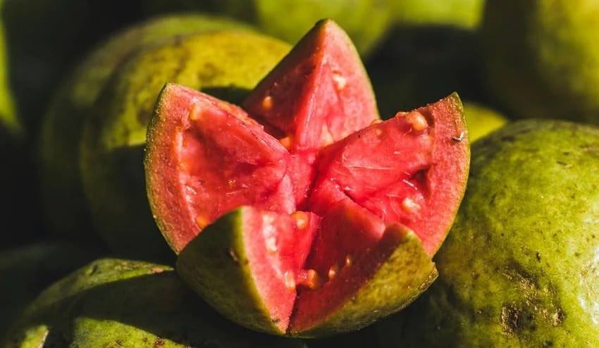these five types of people should not eat guava know its side effects and risks