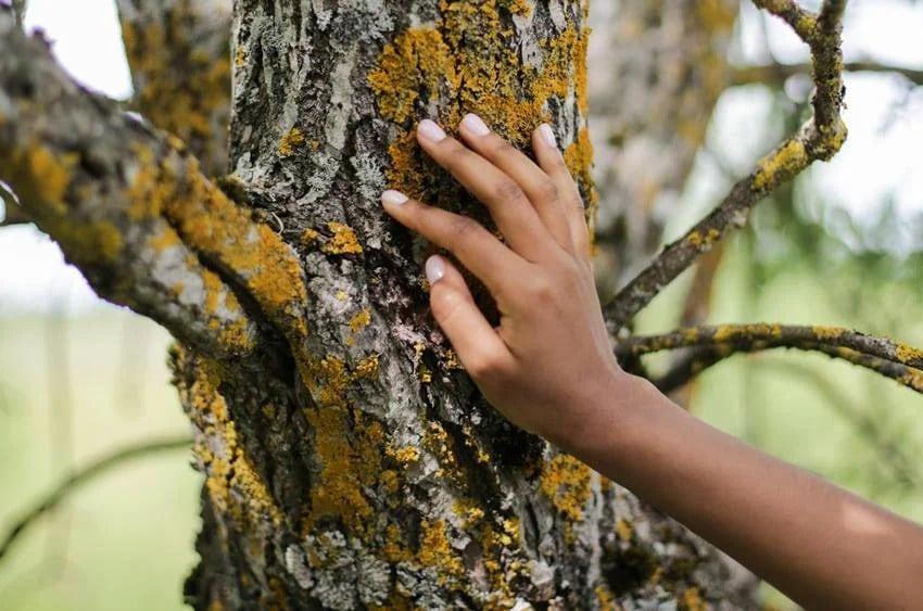 Touch wood
