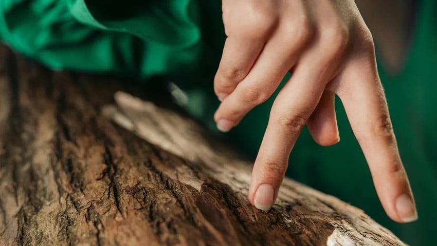 Touch wood