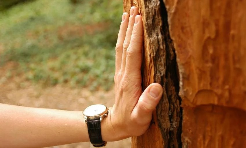 Touch wood