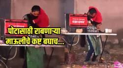 एकीकडे जबाबदारी एकीकडे प्रेम, पोटासाठी राबणाऱ्या माऊलीचे कष्ट पाहून तुम्हीही भारावून जाल, VIDEO व्हायरल