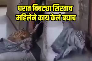 Viral Video Woman Ties Leopard With Rope Inside Home