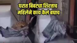 बिबट्या घरात शिरला अन्…, एकट्या महिलेने कसा वाचवला जीव एकदा पाहाच…, VIDEO होतोय व्हायरल