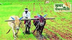 खबर पीक पाण्याची : हवामान बदलामुळे शेतीची वाट बिकट ?