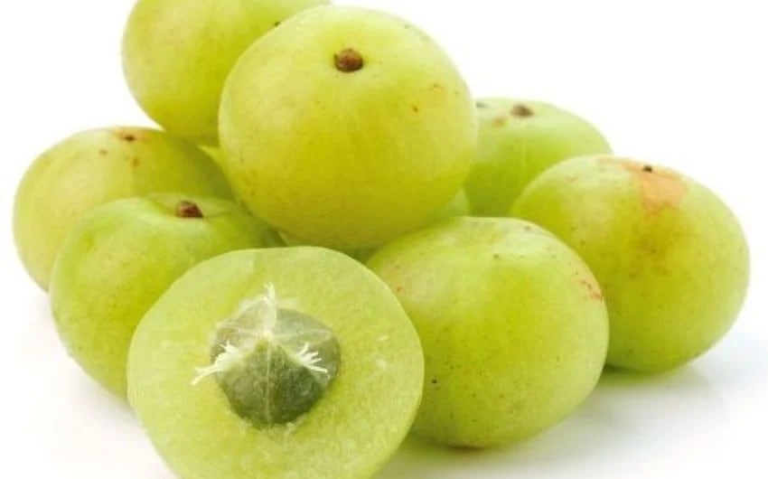 8 amla recipes to boost your immunity in marathi