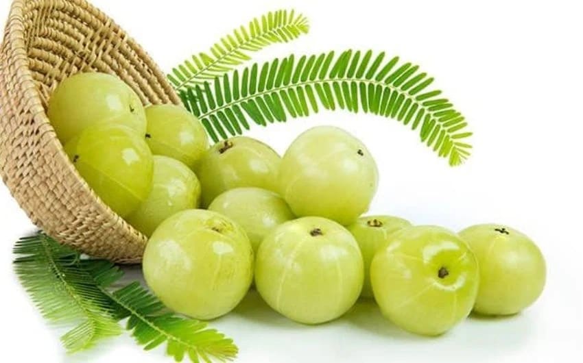 8 amla recipes to boost your immunity in marathi