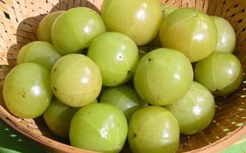 8 amla recipes to boost your immunity in marathi