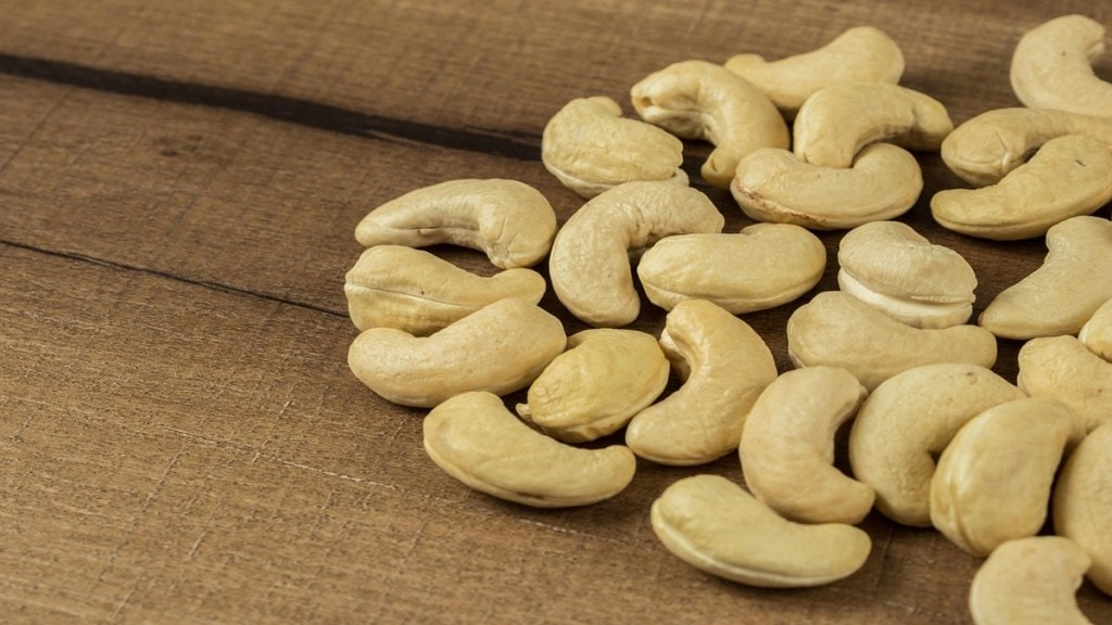 Maharashtra cashew board, cashew farmers support Maharashtra, Kolhapur cashew farming, Sindhudurg cashew industry,