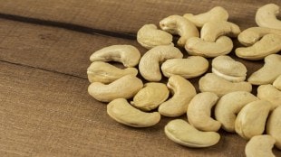 Maharashtra cashew board, cashew farmers support Maharashtra, Kolhapur cashew farming, Sindhudurg cashew industry,