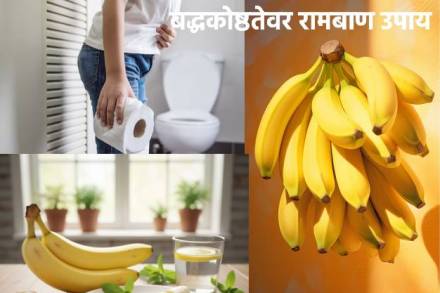 बद्धकोष्ठतेवर रामबाण उपाय ठरू शकतं 'हे' एक फळ, योग्यरित्या करा सेवन... होतील भरपूर समस्या दूर