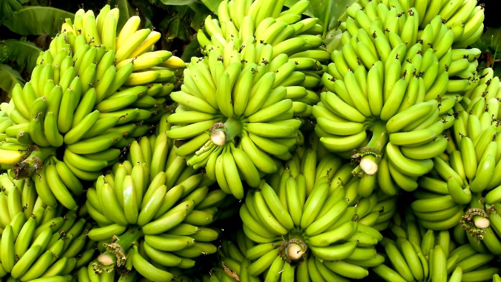 banana market falls again despite festival demand farmers distressed jalgaon