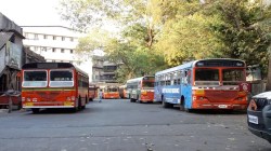 माऊंट मेरी यात्रेनिमित्त बेस्टच्या ३७४ जादा बस