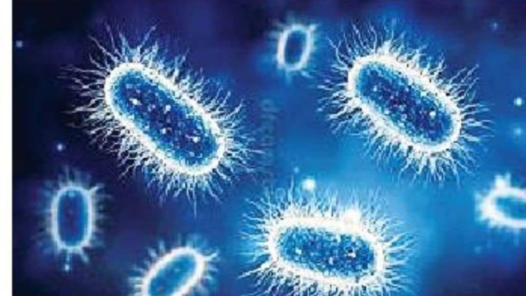 Bioluminescence marine terrestrial organisms Green Fluorescent Protein discovery revolutionizes molecular biology