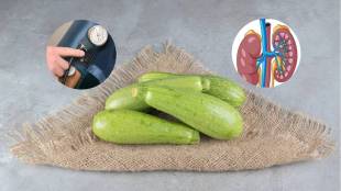 bottle gourd side effects who should avoid eating dudhi bhopla health tips in marathi