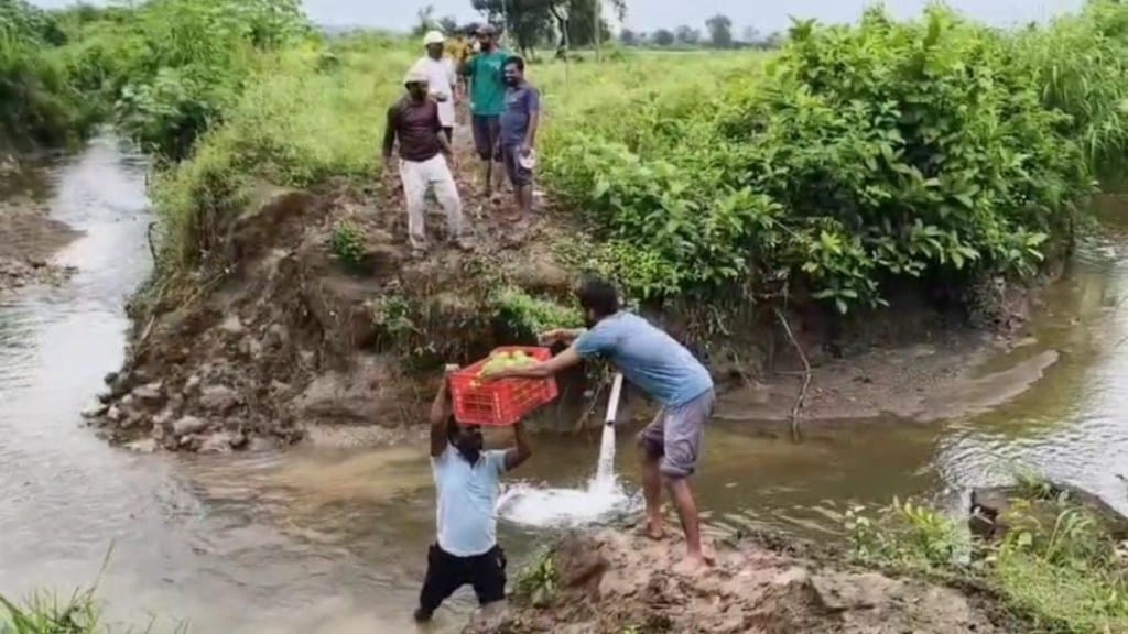 brave farmer carries mosambi through floods wardha vidarbha