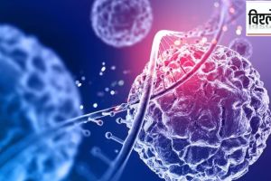 cancer cases and deaths are on a decline globally increasing in India