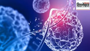 cancer cases and deaths are on a decline globally increasing in India