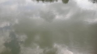 bhatsa river oily layer news in marathi