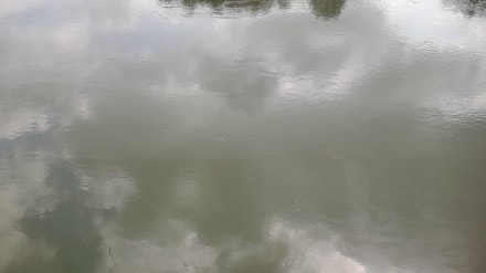bhatsa river oily layer news in marathi