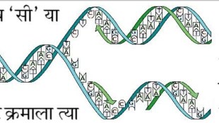 genetic language kutuhal