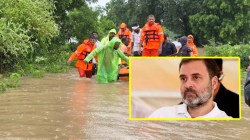 आपत्तीनंतर मराठवाड्यामध्ये ना केंद्रीय मंत्री; ना पथक! खा.राहुल गांधी यांना नांदेडच्या कार्यकर्त्याचे पत्र