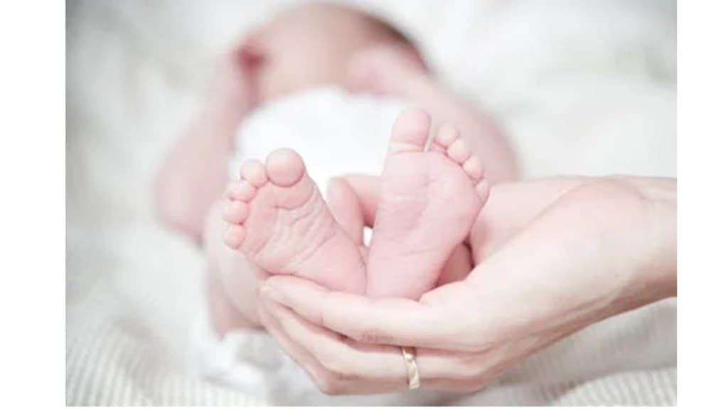 Birth and death rates loksatta news