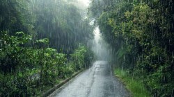 Latur Rain News : लातूरमध्ये पावसाचे थैमान; सोयाबीनचे पीक धोक्यात