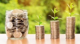 tajgvk hotels resorts small cap stock analysis long term investment