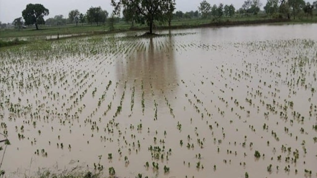 nashik district farmers