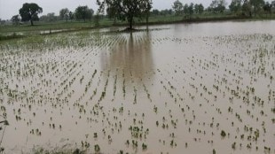nashik district farmers