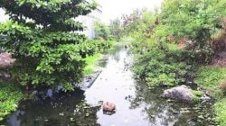 मुंबई : तरंगत्या कचऱ्याचे विळख्यातून नाले मोकळे होणार , वाचा पालिका नेमके काय करणार?