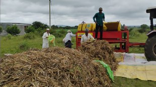 waghya ghevada satara marathi news