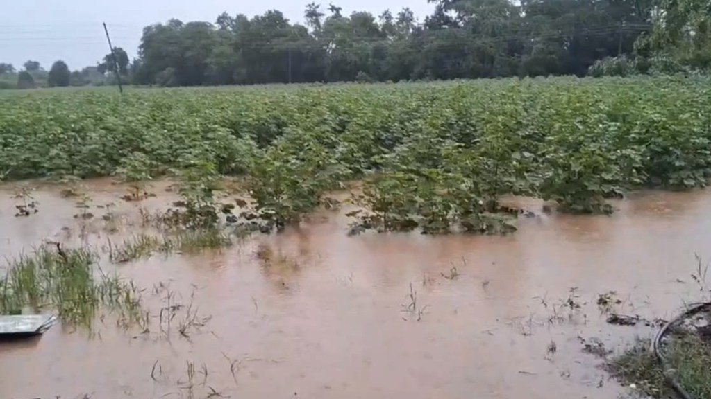 ahilyanagar farmers deprived from compensation ahilyanagar farmers deprived from compensation