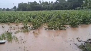 ahilyanagar farmers deprived from compensation