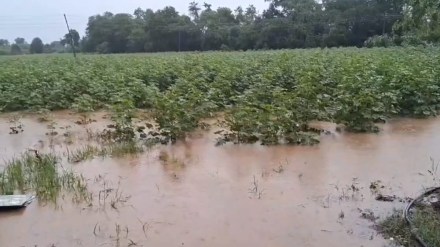 ahilyanagar farmers deprived from compensation ahilyanagar farmers deprived from compensation