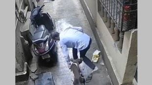 Stray dogs bite 67 citizens