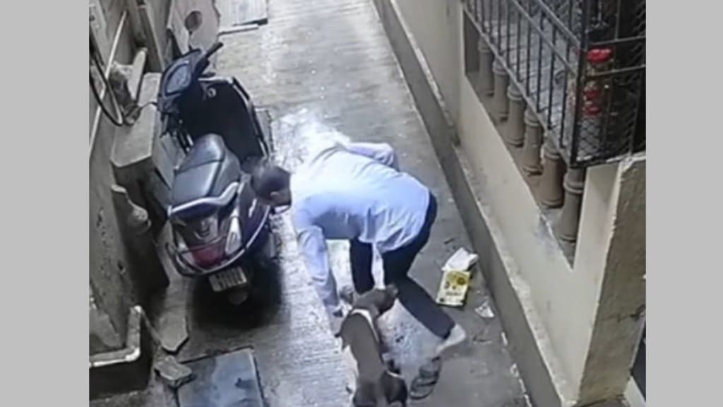 thane city 67 dog bite patients discharged