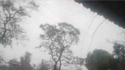 Sangli Rain News: सांगलीत पावसाची पुन्हा हजेरी