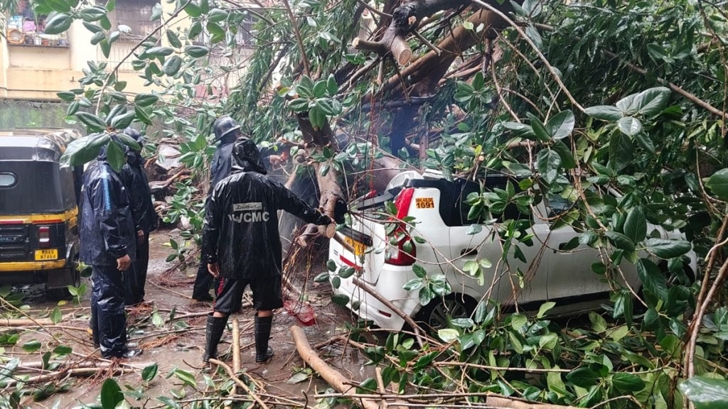 vasai nala sopara tree fall on vehicle