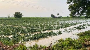 Ahilyanagar farms damage