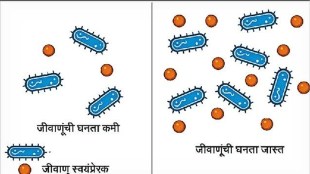 Microorganisms communication
