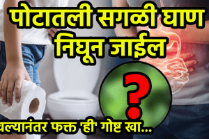 How to clean stomach Betel leaves after meals improve gut health constipation relief detox body natural digestive food