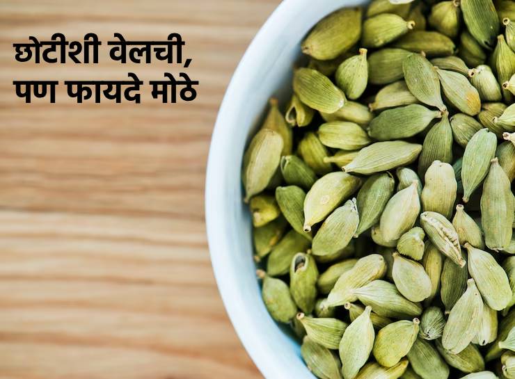 एवढीशी वेलची आरोग्यासाठी आहे अतिशय उपयुक्त, आहारात आवर्जून करा समावेश… ठरेल फायदेशीर