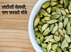एवढीशी वेलची आरोग्यासाठी आहे अतिशय उपयुक्त, आहारात आवर्जून करा समावेश… ठरेल फायदेशीर