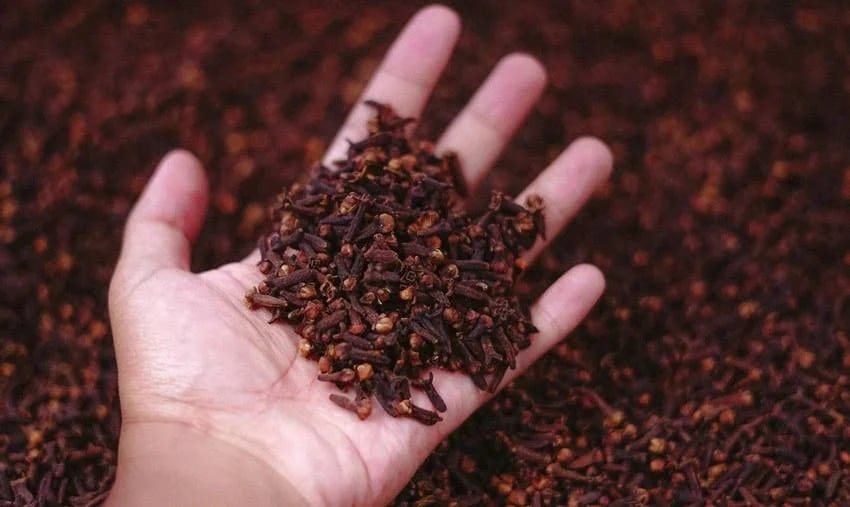 clove water at night before sleep 