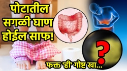 पोटातील, लिव्हरमधील सगळी घाण लगेच होईल साफ! फक्त ‘ही’ गोष्ट खा; पचन सुधारेल अन् ब्लड शुगरही नियंत्रणात राहील….