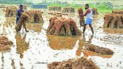 नैसर्गिक आपत्तीमुळे बाधित शेतकऱ्यांना ७४ कोटींची मदत