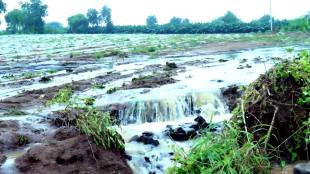 crop damage in Jalgaon district