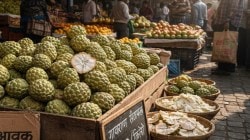 गावरान सीताफळांची उच्चांकी आवक… दरात घट; प्रक्रिया उद्योगांकडून मागणी